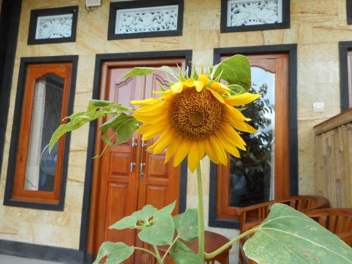 Ming Homestay 시데멘 외부 사진