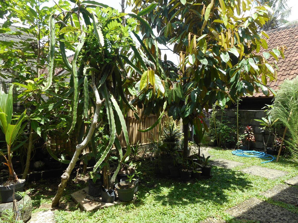 Ming Homestay 시데멘 외부 사진